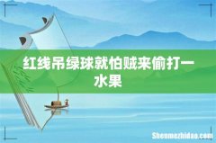红线吊绿球就怕贼来偷打一水果