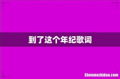 到了这个年纪歌词