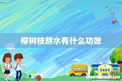 柳树枝熬水有什么功效