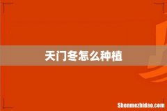 天门冬怎么种植