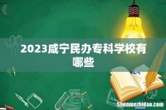 2023咸宁民办专科学校有哪些