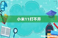 小米11打不开