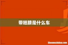 带翅膀是什么车