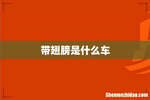 带翅膀是什么车