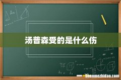 汤普森受的是什么伤