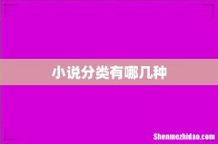 小说分类有哪几种