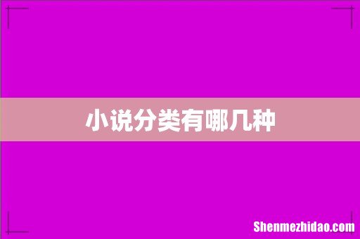 小说分类有哪几种