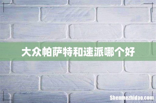 大众帕萨特和速派哪个好