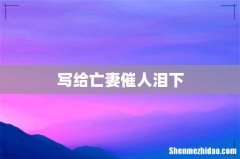 写给亡妻催人泪下