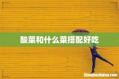 酸菜和什么菜搭配好吃