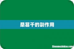 桑葚干的副作用