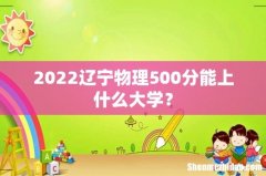 2022辽宁物理500分能上什么大学？