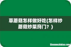 怎样炒蘑菇炒菜窍门？ 草蘑菇怎样做好吃