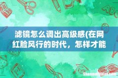 在网红脸风行的时代，怎样才能把自拍玩出高级感？ 滤镜怎么调出高级感