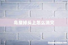 鸟屎掉头上怎么消灾