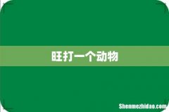 旺打一个动物