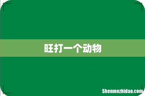 旺打一个动物