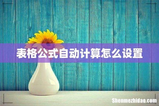表格公式自动计算怎么设置