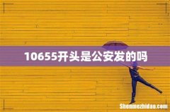 10655开头是公安发的吗