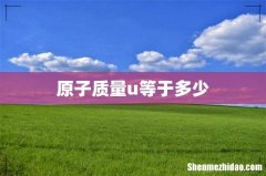 原子质量u等于多少