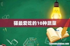 猫最爱吃的10种蔬菜