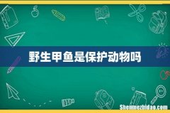 野生甲鱼是保护动物吗