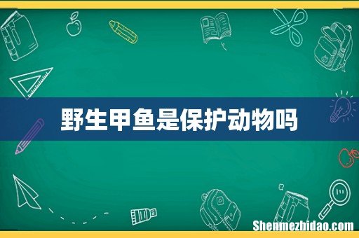 野生甲鱼是保护动物吗