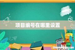 项目编号在哪里设置