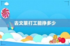 去文莱打工能挣多少