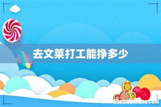 去文莱打工能挣多少