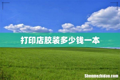 打印店胶装多少钱一本
