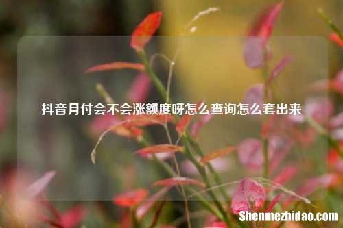 抖音月付会不会涨额度呀怎么查询怎么套出来