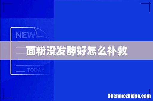 面粉没发酵好怎么补救