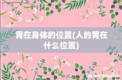 人的胃在什么位置 胃在身体的位置