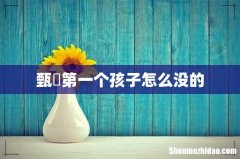 甄嬛第一个孩子怎么没的