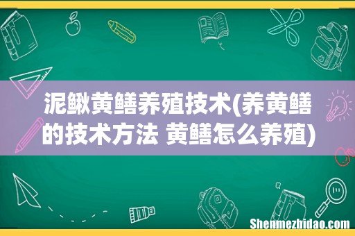 养黄鳝的技术方法 黄鳝怎么养殖 泥鳅黄鳝养殖技术