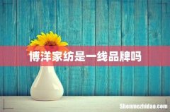 博洋家纺是一线品牌吗