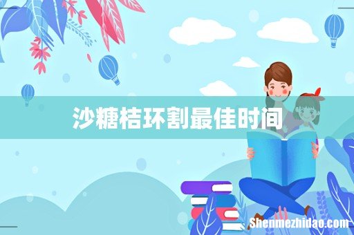 沙糖桔环割最佳时间