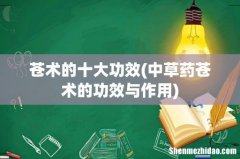 中草药苍术的功效与作用 苍术的十大功效
