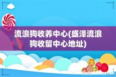 盛泽流浪狗收留中心地址 流浪狗收养中心