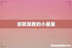 你就是我的小星星