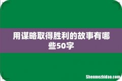 用谋略取得胜利的故事有哪些50字