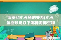 小丑鱼喜欢与以下哪种海洋生物一起生活？ 海葵和小丑鱼的关系
