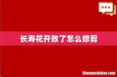 长寿花开败了怎么修剪