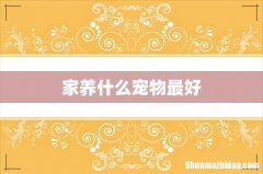 家养什么宠物最好