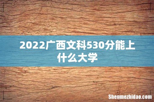 2022广西文科530分能上什么大学