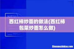 西红柿包菜炒面怎么做 西红柿炒面的做法