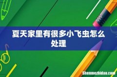 夏天家里有很多小飞虫怎么处理