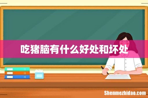 吃猪脑有什么好处和坏处