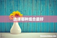 选课哪种组合最好